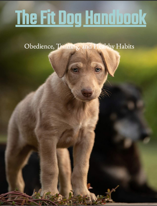 The Fit Dog Handbook: Obedience, Training, and Healthy Habits + Free printable training tracker